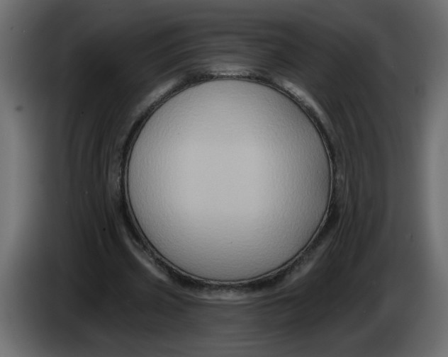 X0000083570533200703021749
