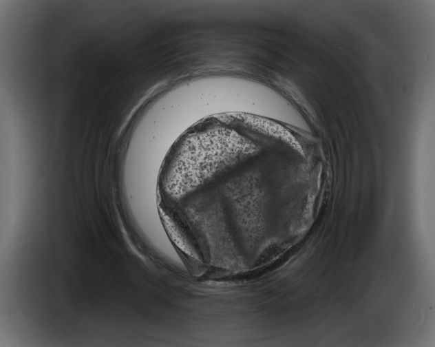 X0000083570534200703021749