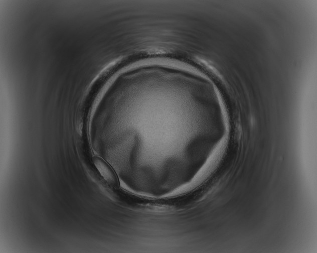 X0000083570539200703021749