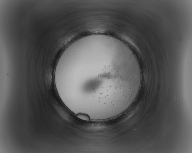 X0000083570541200703021749