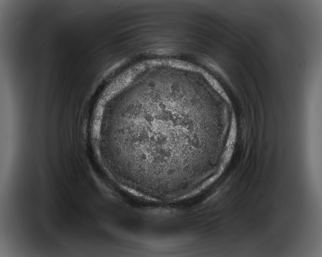 X0000083570542200703021749
