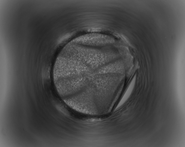 X0000083570543200703021749