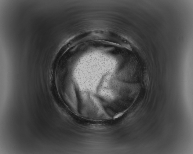 X0000083570544200703021749