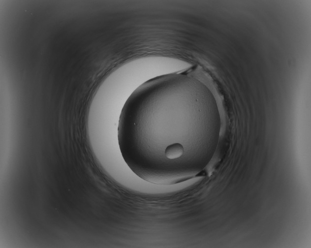 X0000083570546200703021749