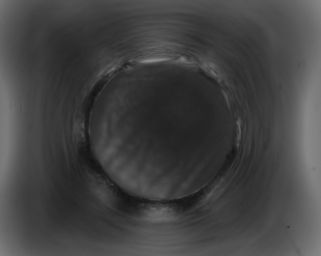 X0000083570547200703021750