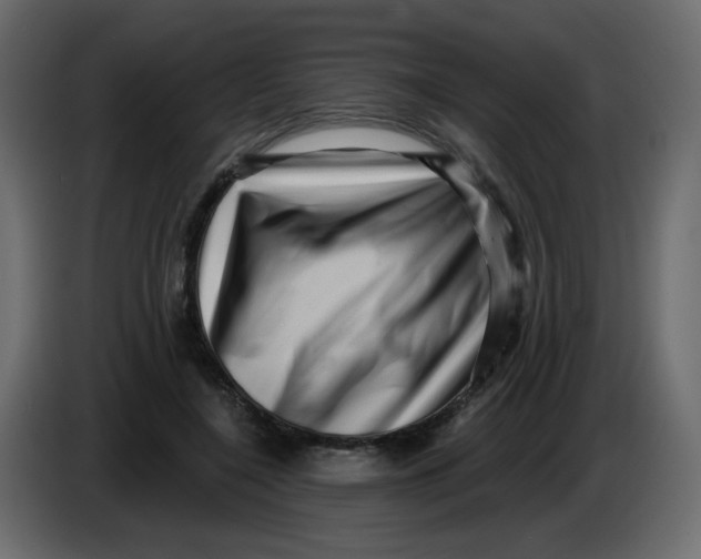 X0000083570548200703021750
