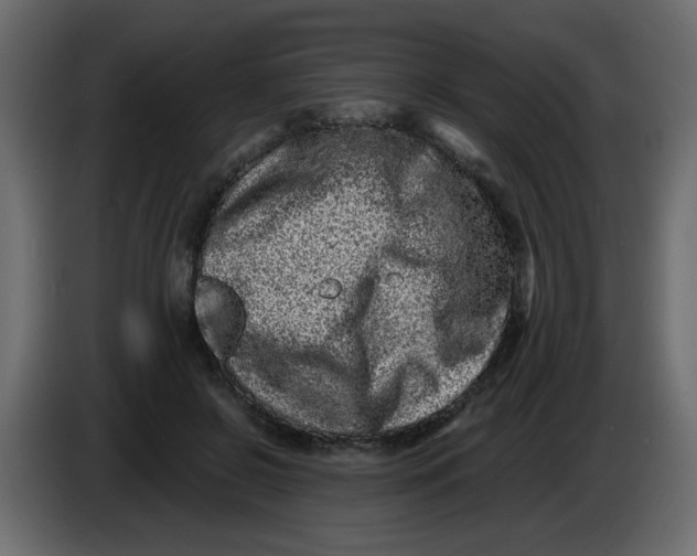 X0000083570550200703021750
