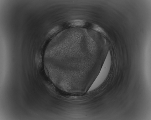 X0000083570552200703021750