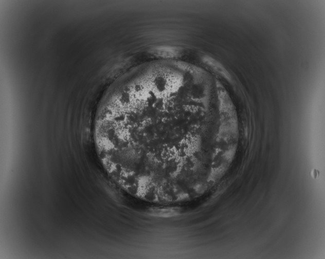 X0000083570553200703021750