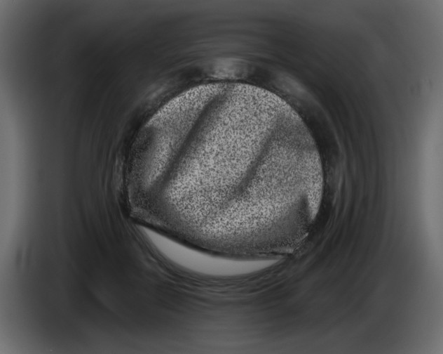 X0000083570554200703021750