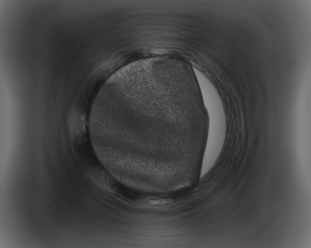 X0000083570555200703021750