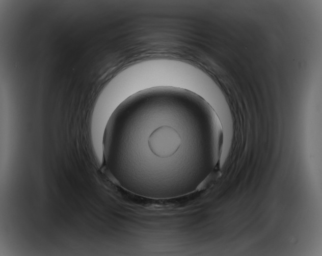 X0000083570556200703021750
