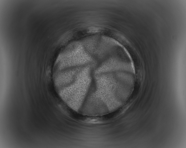X0000083570557200703021750