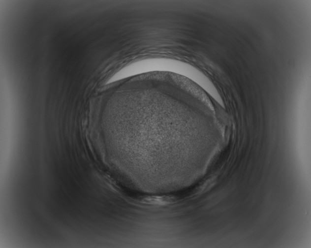 X0000083570558200703021750