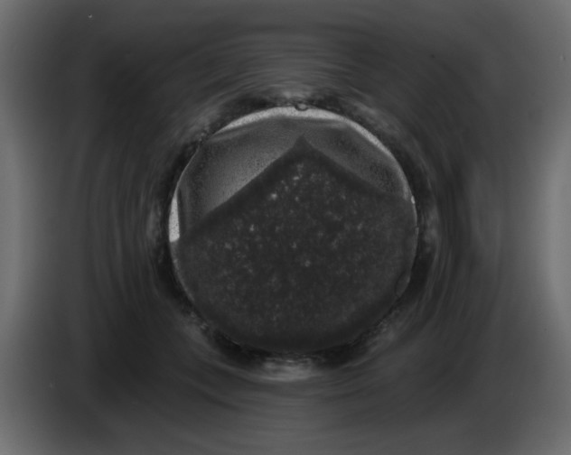 X0000083570559200703021750