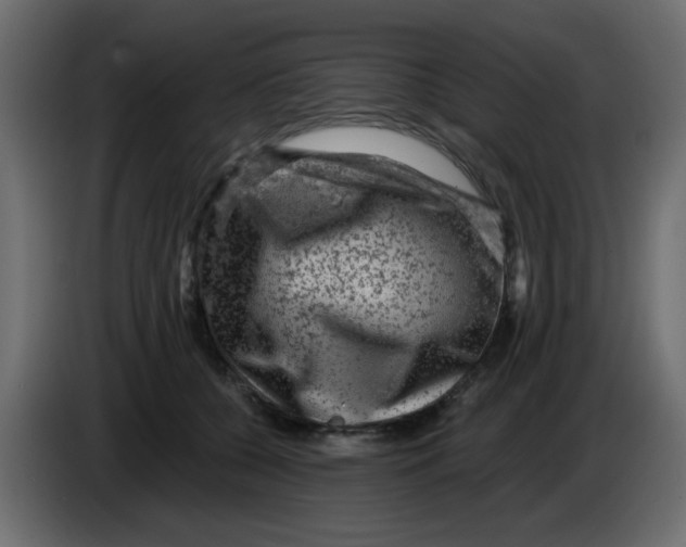 X0000083570560200703021750