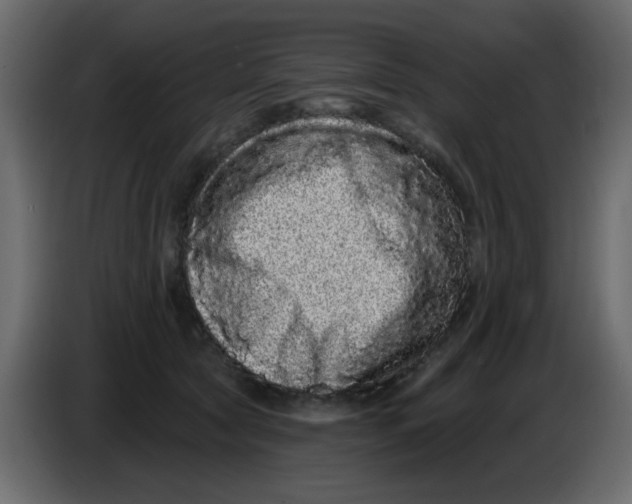 X0000083570561200703021750