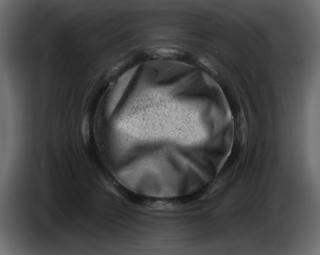 X0000083570562200703021750