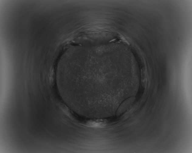 X0000083570563200703021750