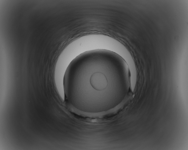 X0000083570564200703021750