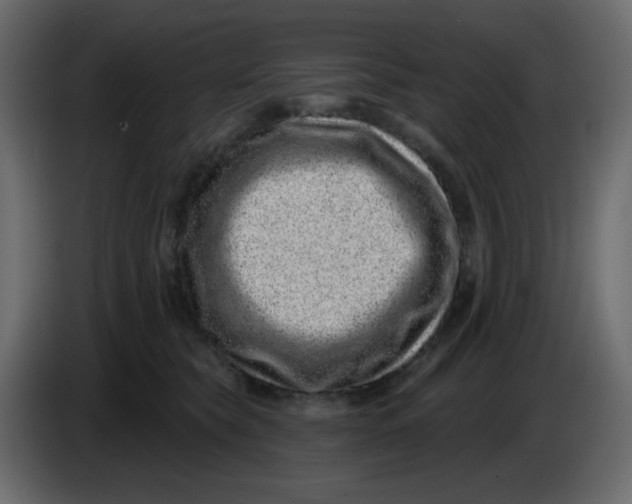 X0000083570565200703021750