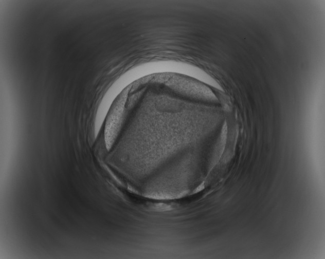 X0000083570566200703021750