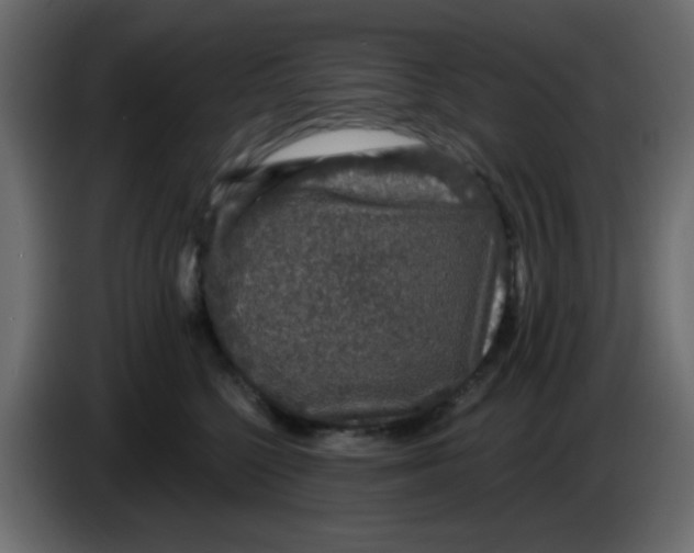 X0000083570568200703021750
