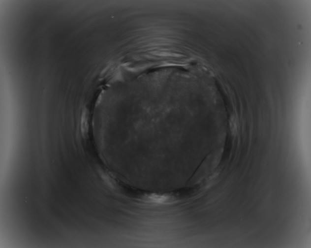 X0000083570570200703021750
