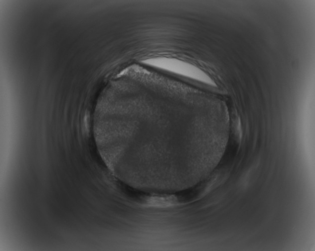X0000083570571200703021750