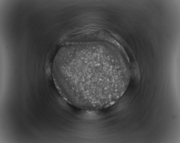 X0000083570573200703021750