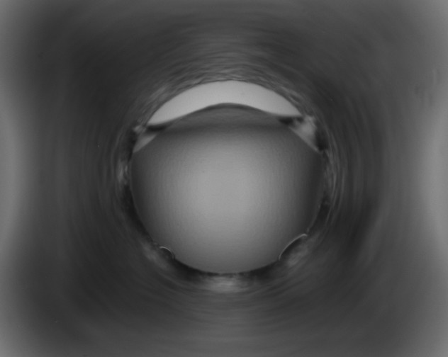 X0000083570574200703021750