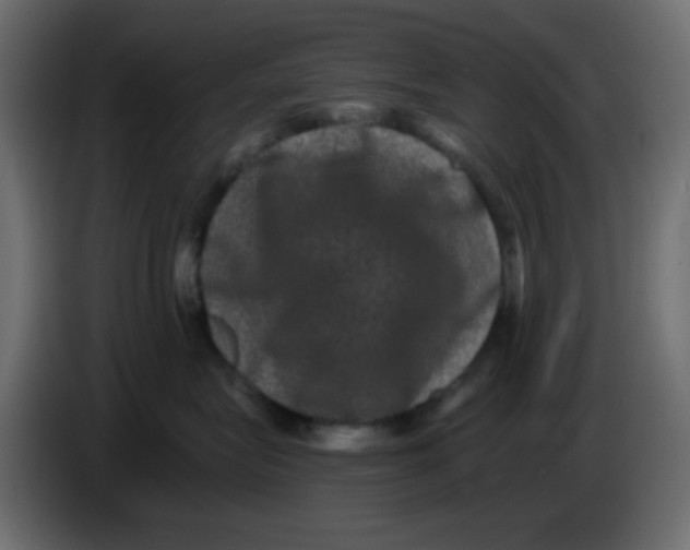 X0000083570575200703021750