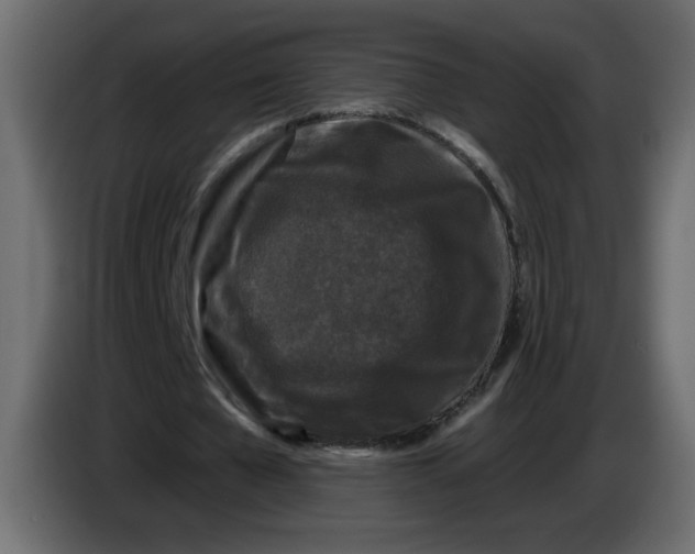 X0000083570577200703021749