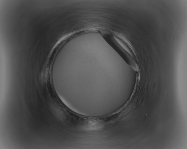 X0000083570579200703021749