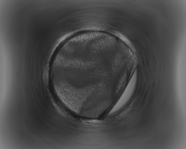 X0000083570580200703021749