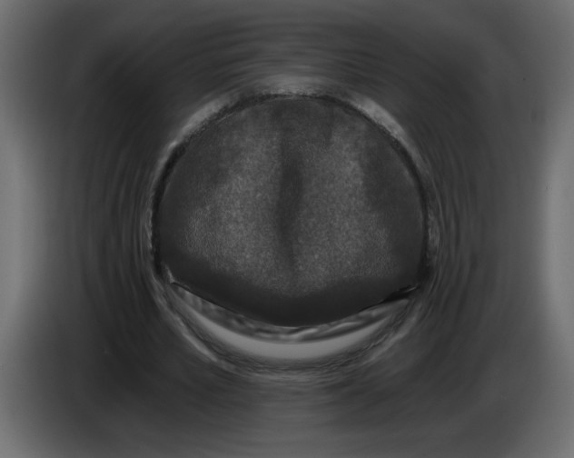X0000083570581200703021749