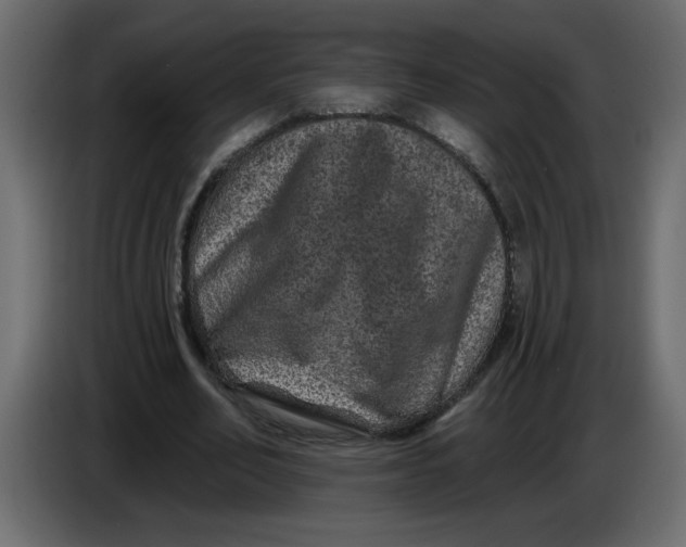 X0000083570582200703021749