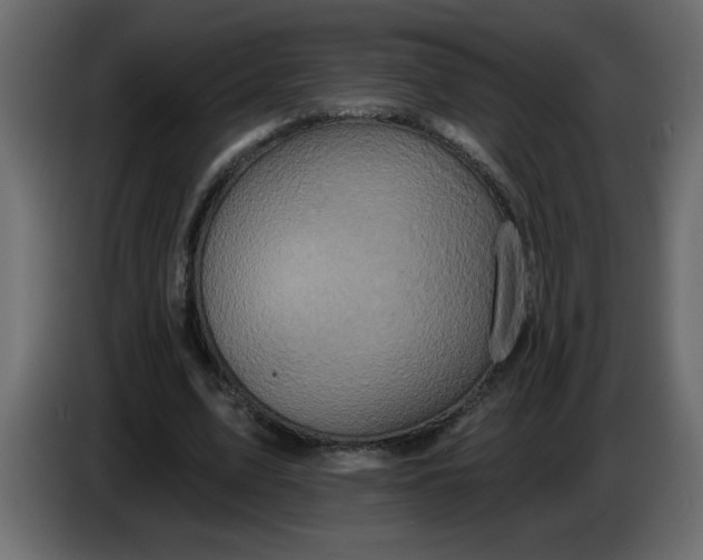 X0000083570583200703021749