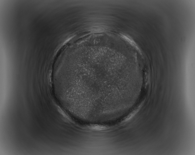 X0000083570585200703021749