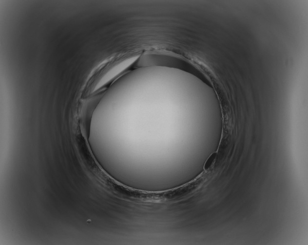 X0000083570587200703021749