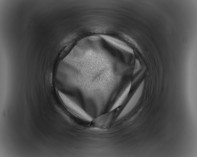 X0000083570589200703021749