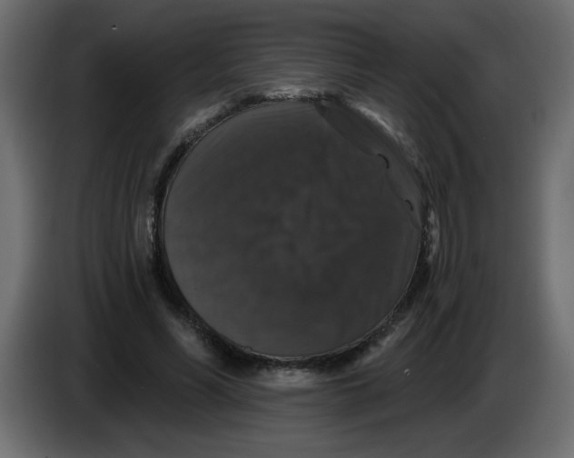 X0000083570590200703021749