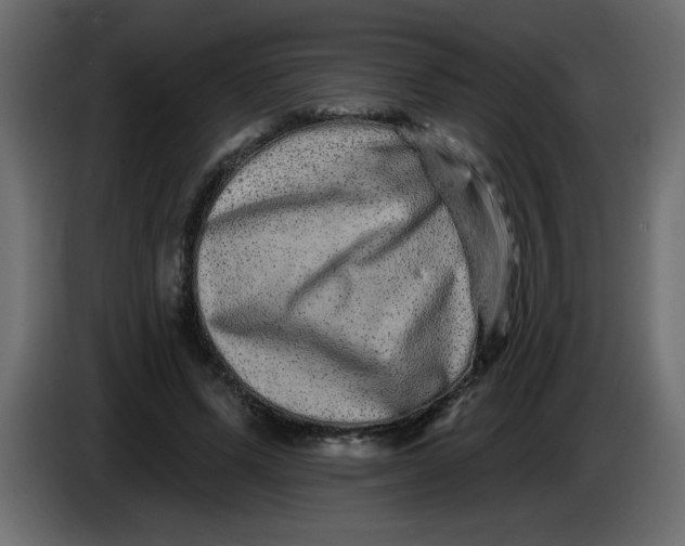 X0000083570591200703021749