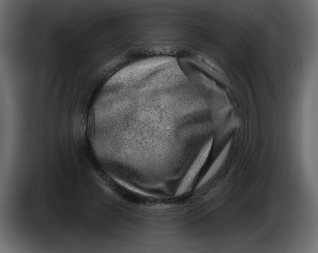 X0000083570593200703021749