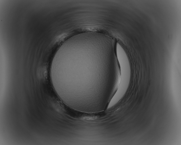 X0000083570595200703021749