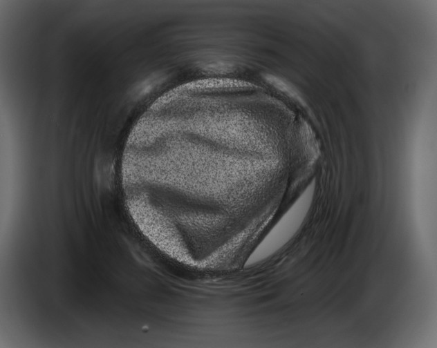 X0000083570596200703021749