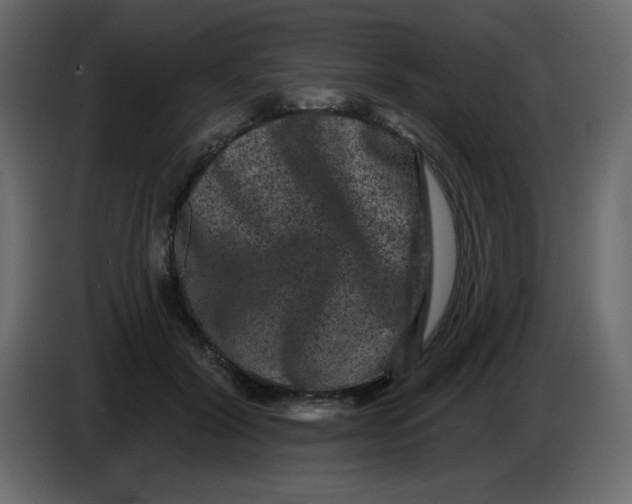 X0000083570604200703021749