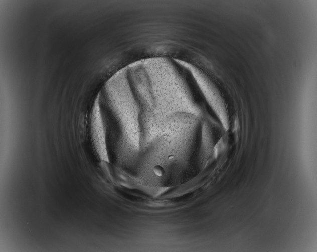 X0000083570605200703021749