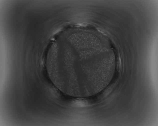 X0000083570608200703021749