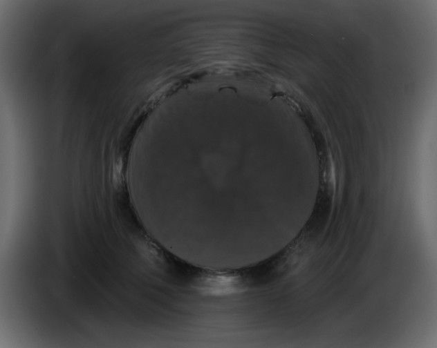 X0000083570610200703021749